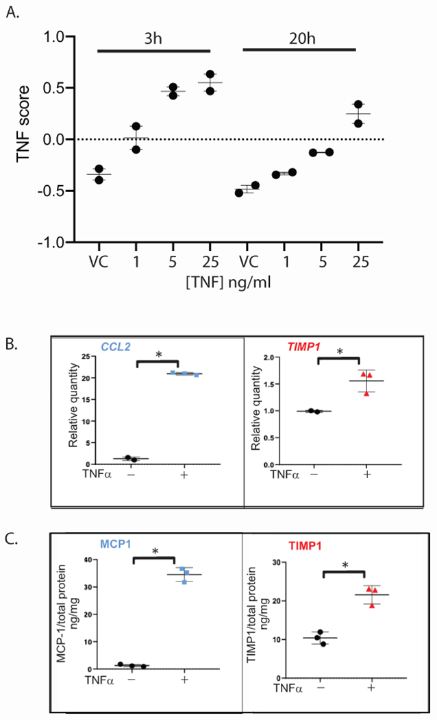 Figure 6: