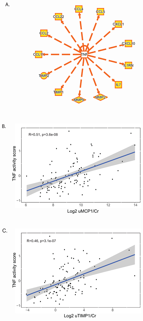 Figure 5: