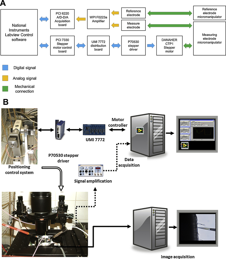 Fig. 1