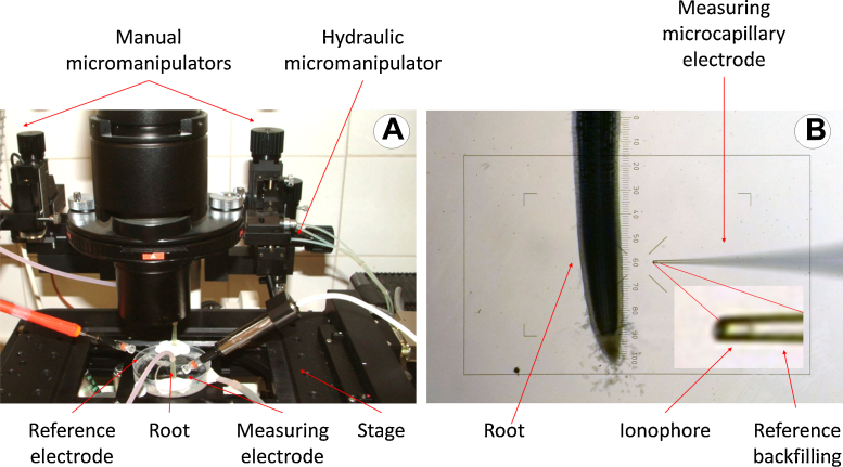 Fig. 7