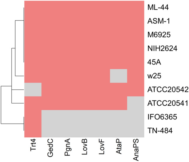 Figure 4