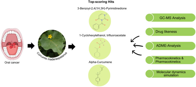 graphic file with name 40203_2023_177_Figa_HTML.jpg