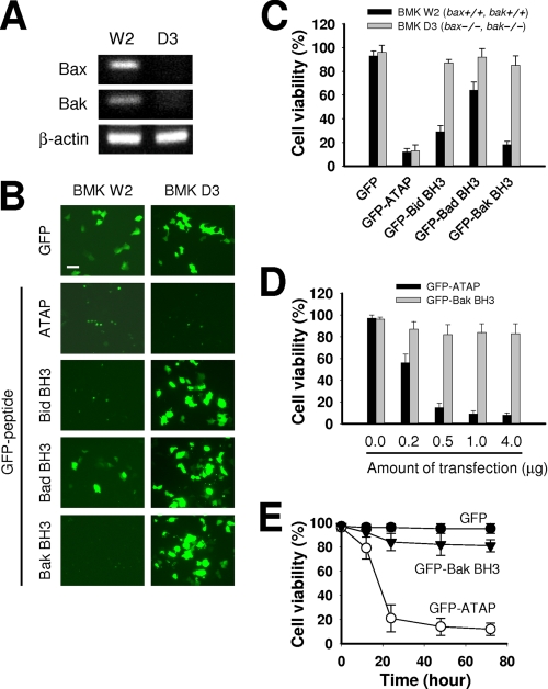 FIGURE 4.