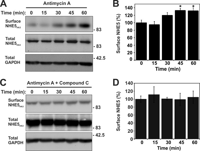 FIGURE 12.