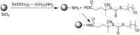 Scheme 18