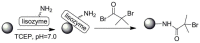 Scheme 23
