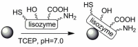 Scheme 22