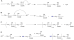 Scheme 10