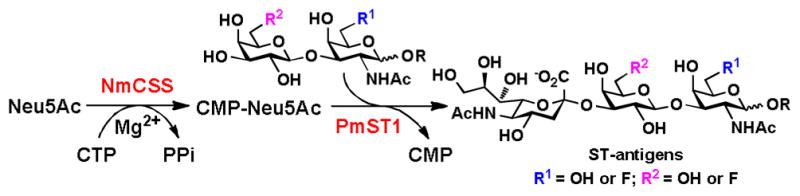 Scheme 2