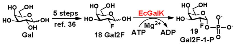 Scheme 3