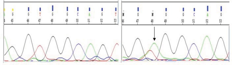 Figure3