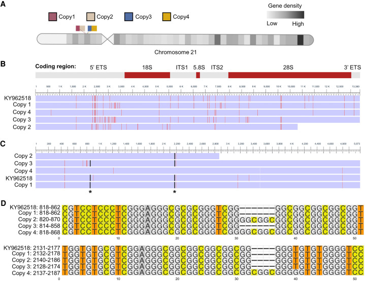 FIGURE 1.