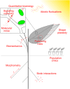 Fig. 2.