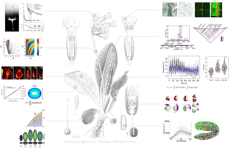 Fig. 1.