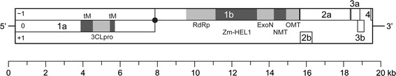 Fig. 1