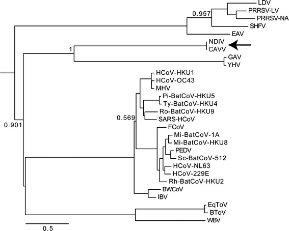 Fig. 2