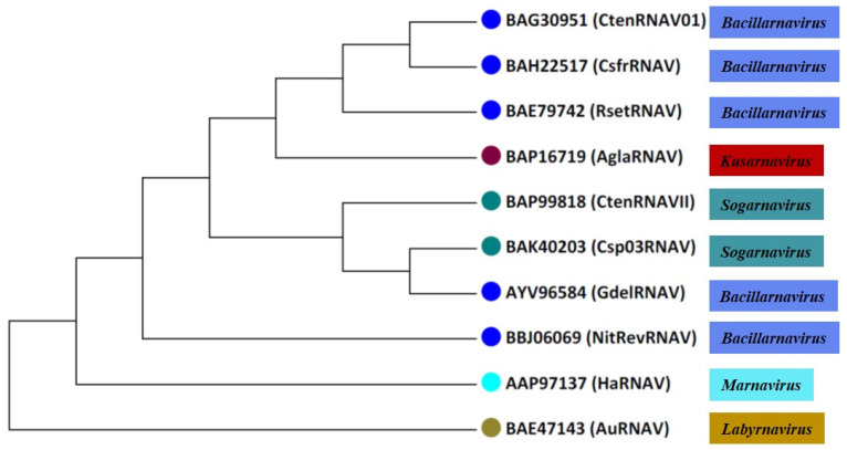 Figure 2