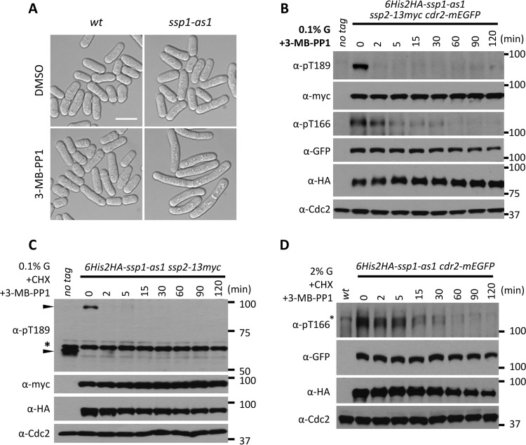 FIG 3