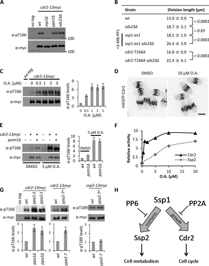 FIG 6