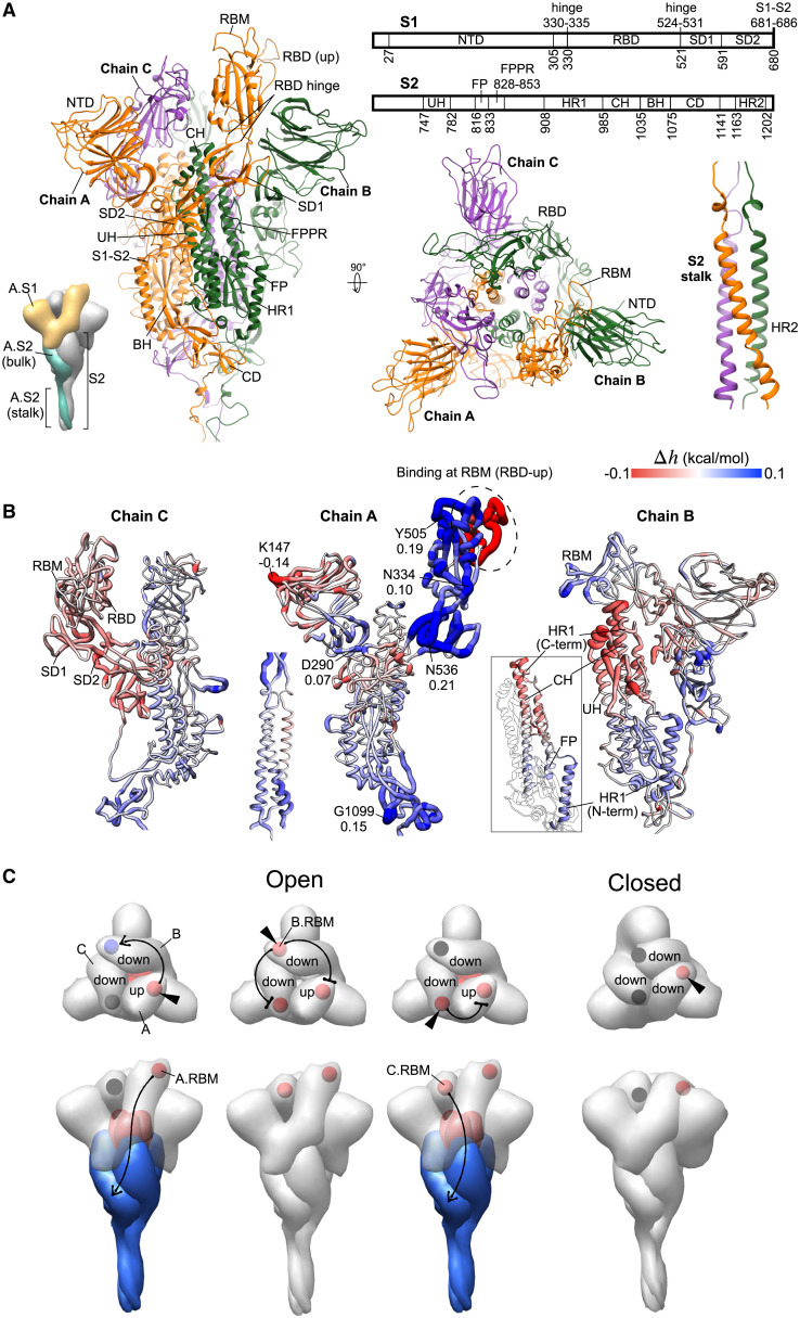 Figure 1