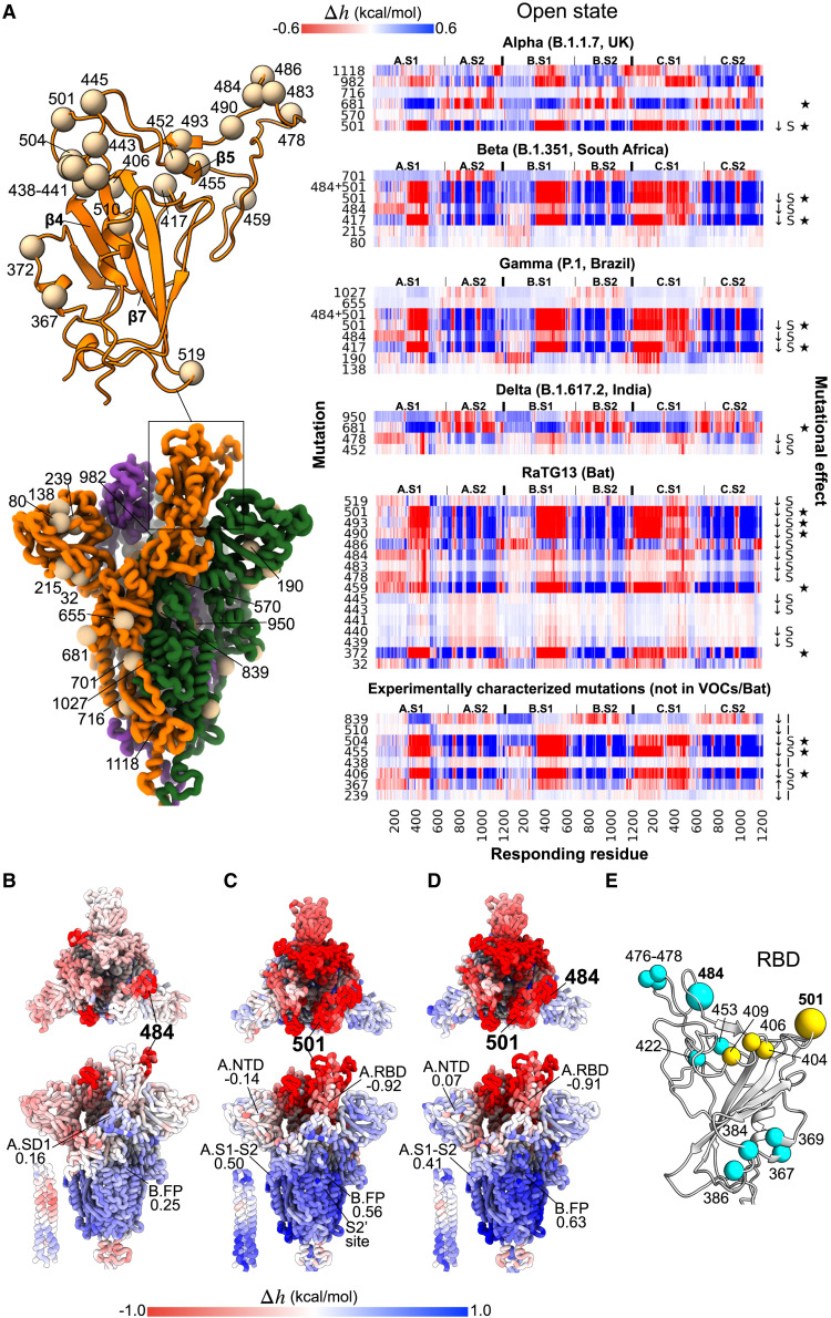 Figure 6