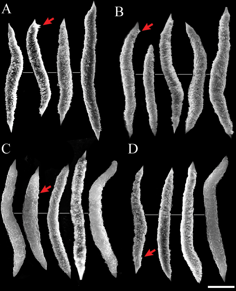 Figure 7.