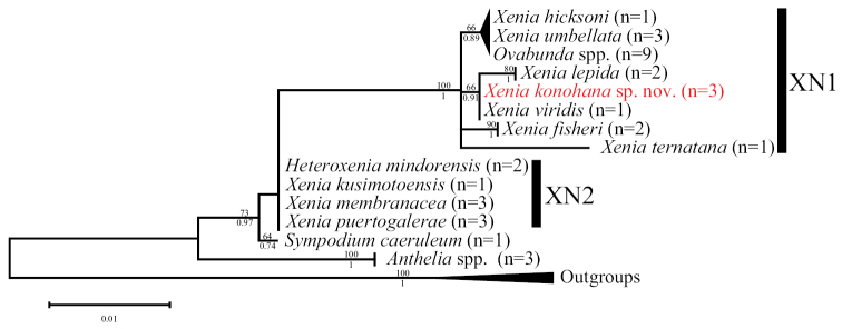 Figure 12.