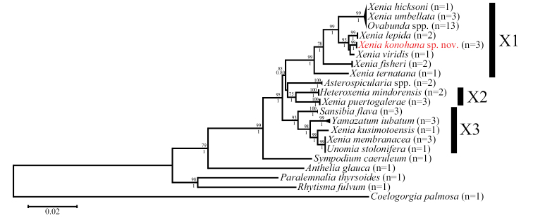 Figure 11.