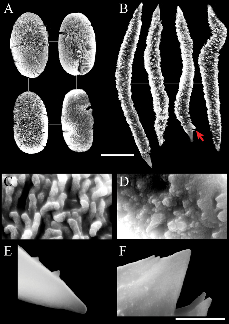 Figure 10.