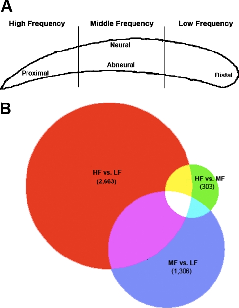 FIG. 1