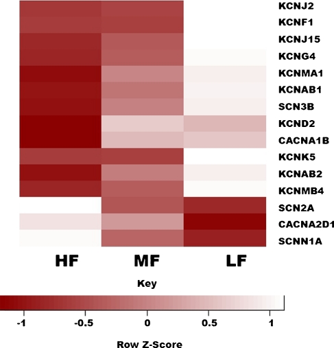 FIG. 3