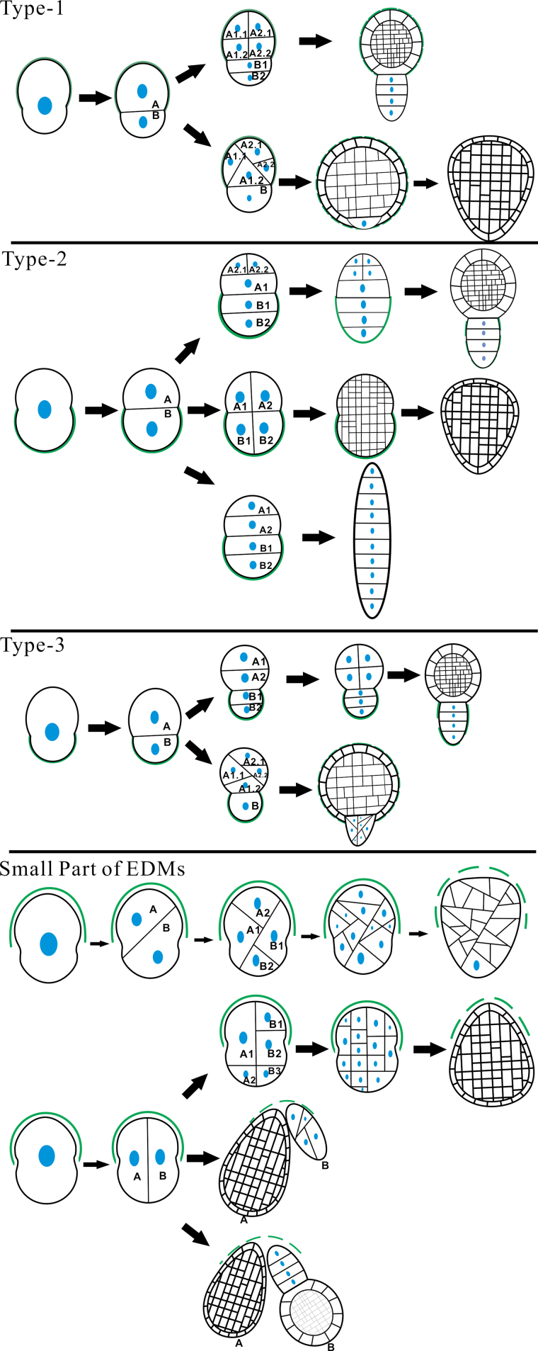 Fig. 7.