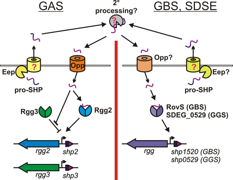 FIG 1 