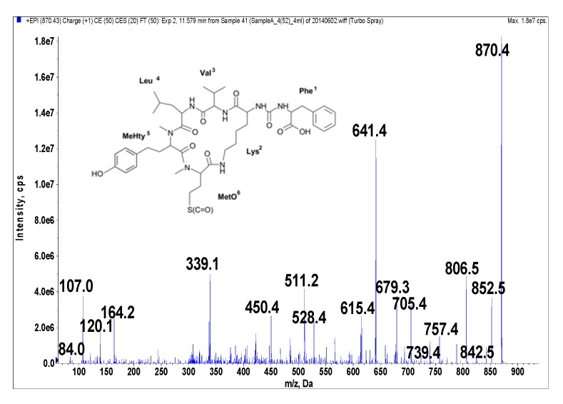 Figure 2