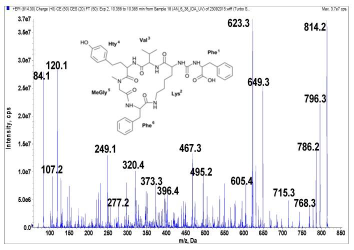 Figure 5