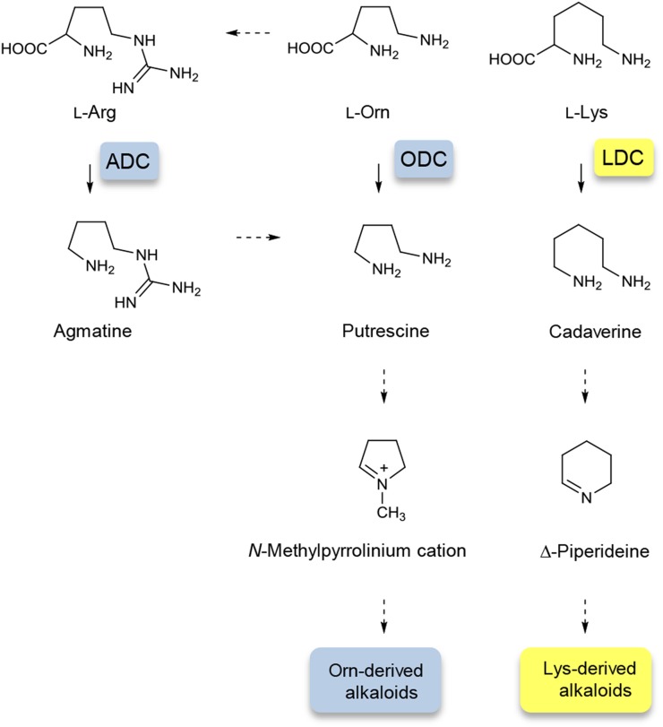 Figure 6.