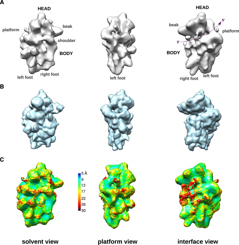 Figure 2.