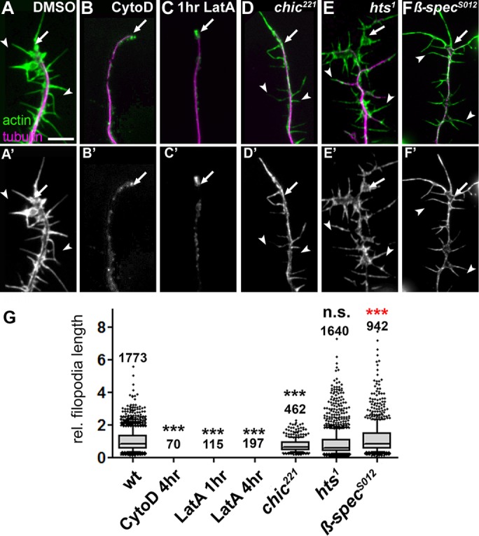 FIGURE 3: