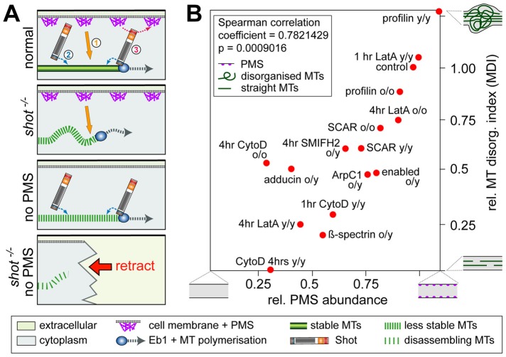 FIGURE 9: