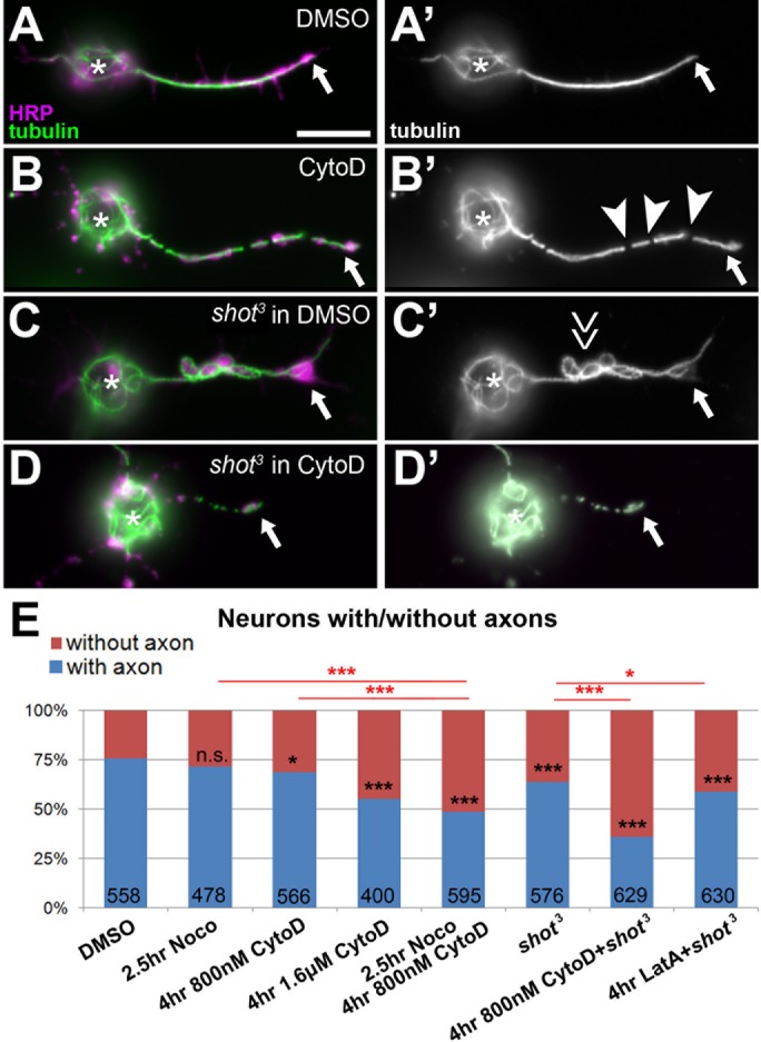 FIGURE 6: