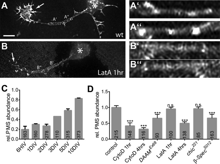 FIGURE 4: