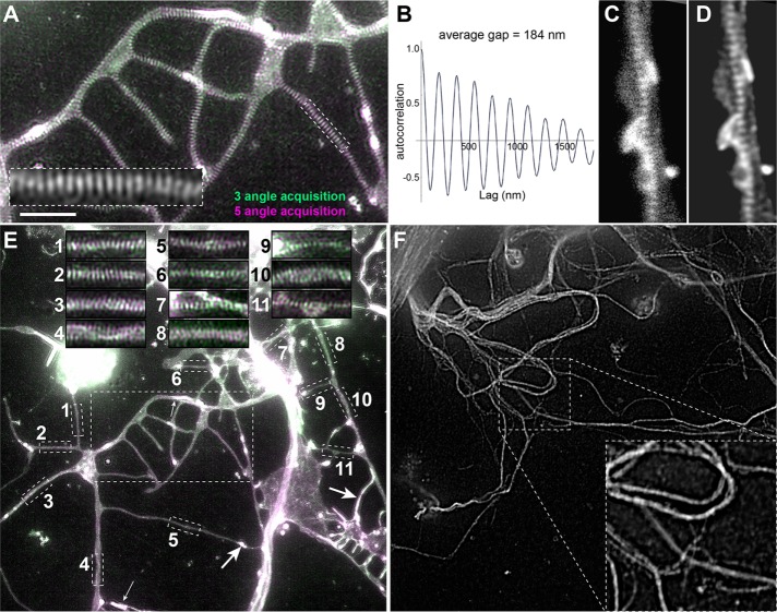 FIGURE 1: