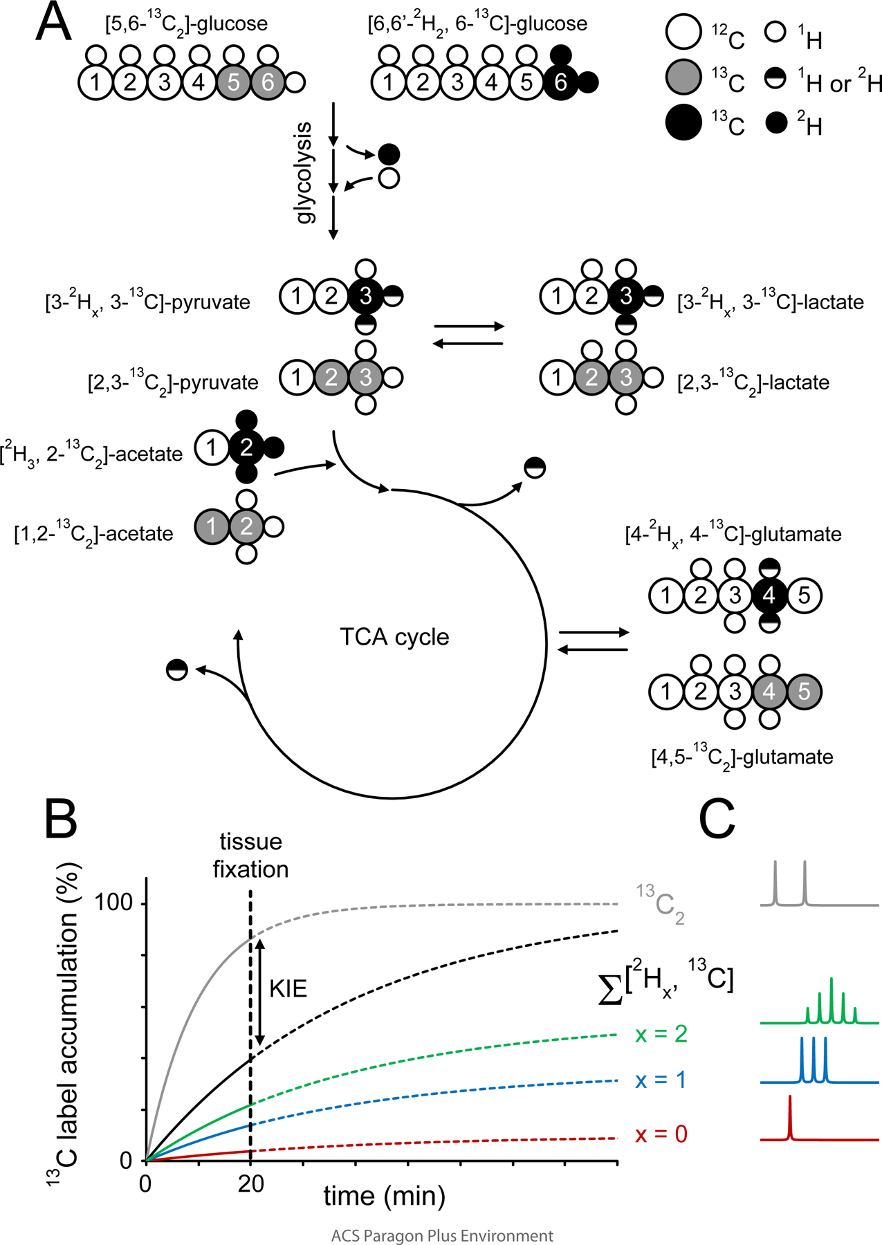 Figure 1–