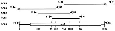 FIG. 1