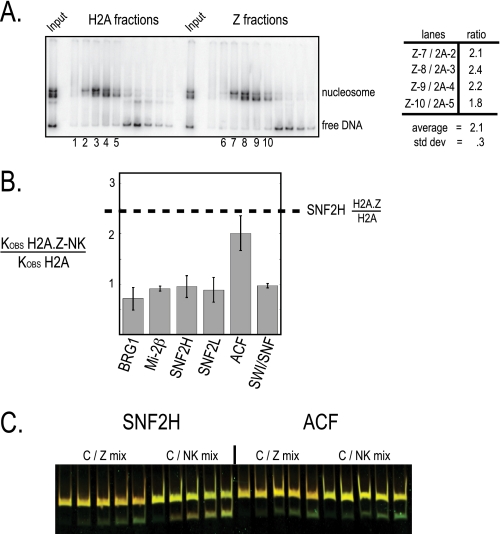 FIGURE 4.