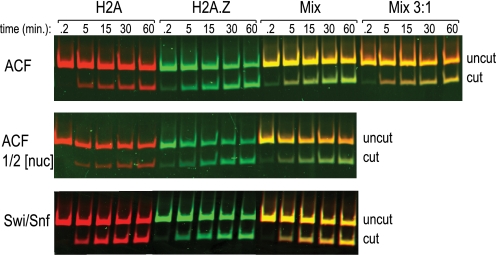 FIGURE 2.