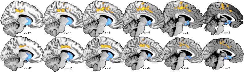 Supplementary Fig. S2