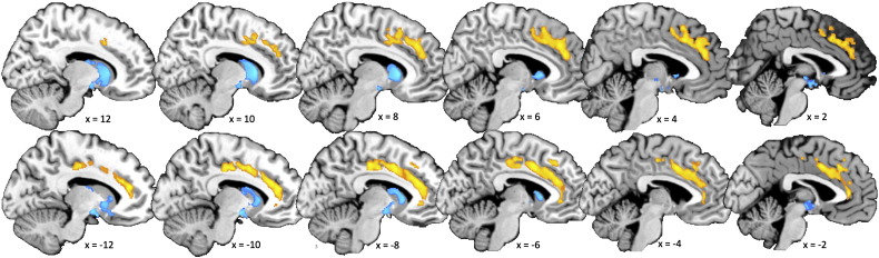 Supplementary Fig. S1