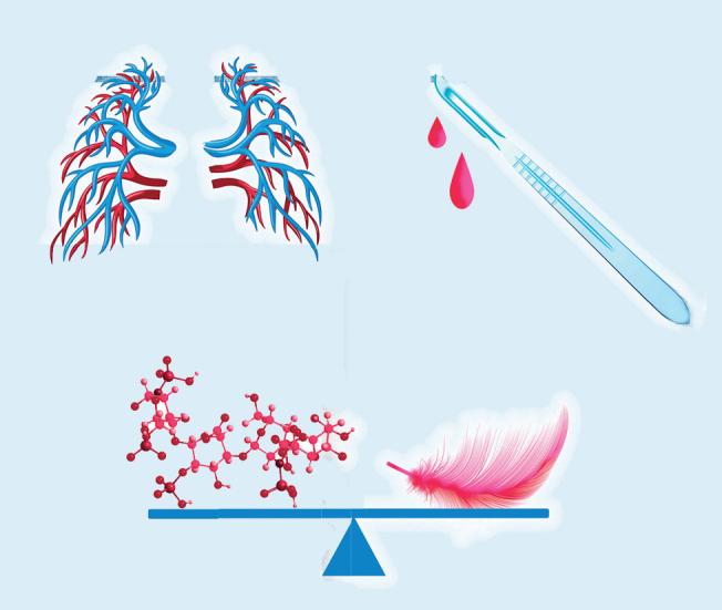 graphic file with name 41193_2022_64_Fig2_HTML.jpg