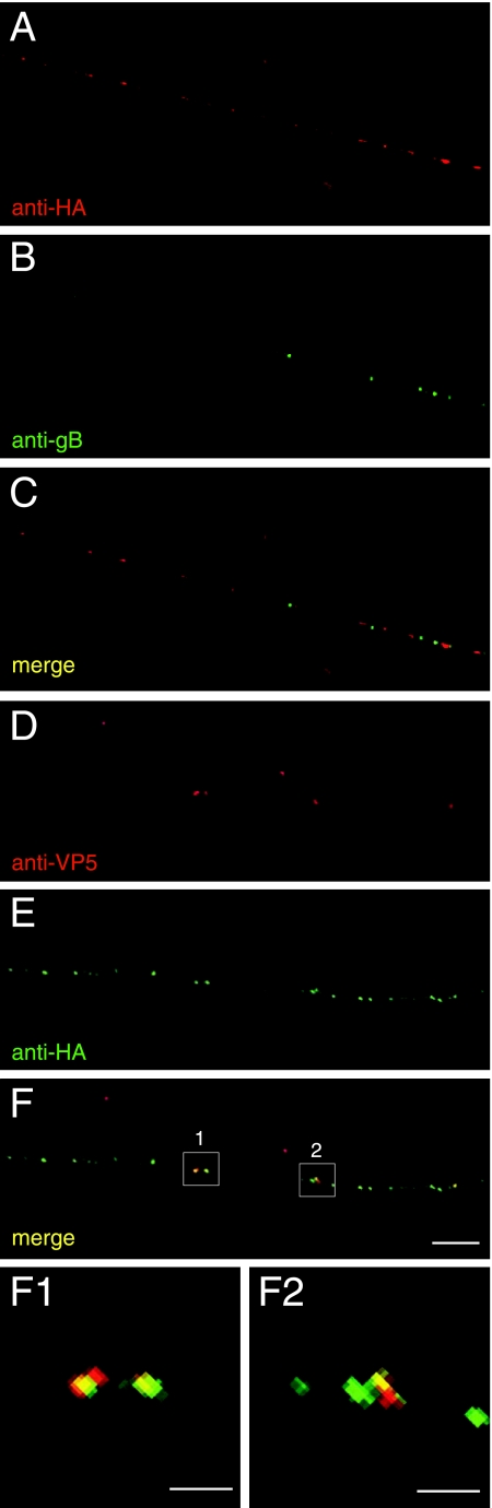 FIG. 9.